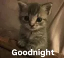 good night