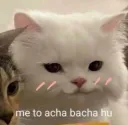 Good boyy