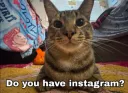 Instagram dedooo