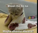 bhul gaye mujhe