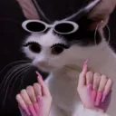 cat slay