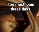 these days 
