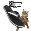 flying slipper 