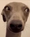 Eita...