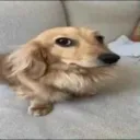 ??