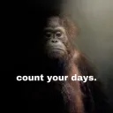 Count your days