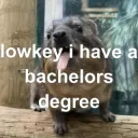 I have a degree