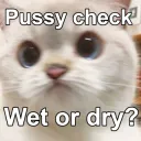 PussyCheck