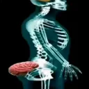 brain on ass