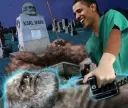 obama surgeon karl marx grave