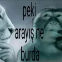 peki arayış ne