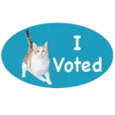 i voted