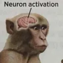 Neuron activation