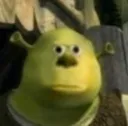Huh Shrek wut