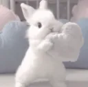 bunnygiveheart