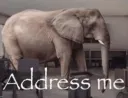 Address me