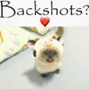 backshots?