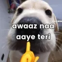 sticker_1773744710874