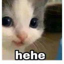 sticker_1773744729189