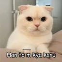 sticker_1773745033121