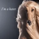 Imahater