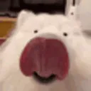 Hehe