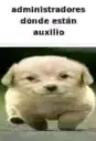Admins Gays