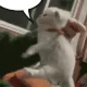 yap