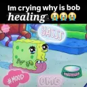 bobishealing