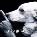 não grita