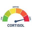 high cortisol