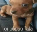 oi posso fala