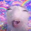 Cat and rainbow /lilkittens