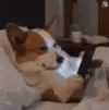 nigga you see this?
