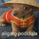 Aligato podi fala