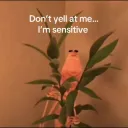 Sensitive
