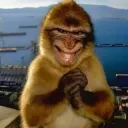 sticker_1774426458534