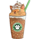 Cattuccino