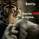 Alpha sigma /lilkittens