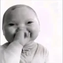 Meme laugh /lilkittens