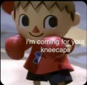 kneecaps