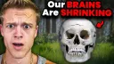 Our BRAINS Are SHRINKING