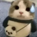 sweating (.gg/kitten)