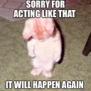 It will happen again