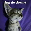 gg/luar
