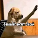 benim bi sorum olcak