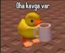 oha kavga var