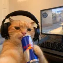 RedBull Cat