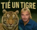 tié un tigre 