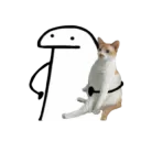 Flork cat